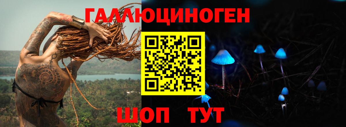 Новоалтайск  Галлюциногенные грибы MAGIC MUSHROOMS  Вход с VPN  Галлюциногенные грибы GOLDEN TEACHER 